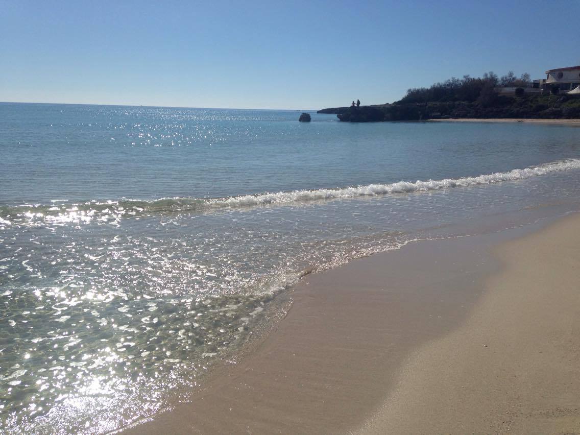 12443876_10154197075179311_1491648043_o