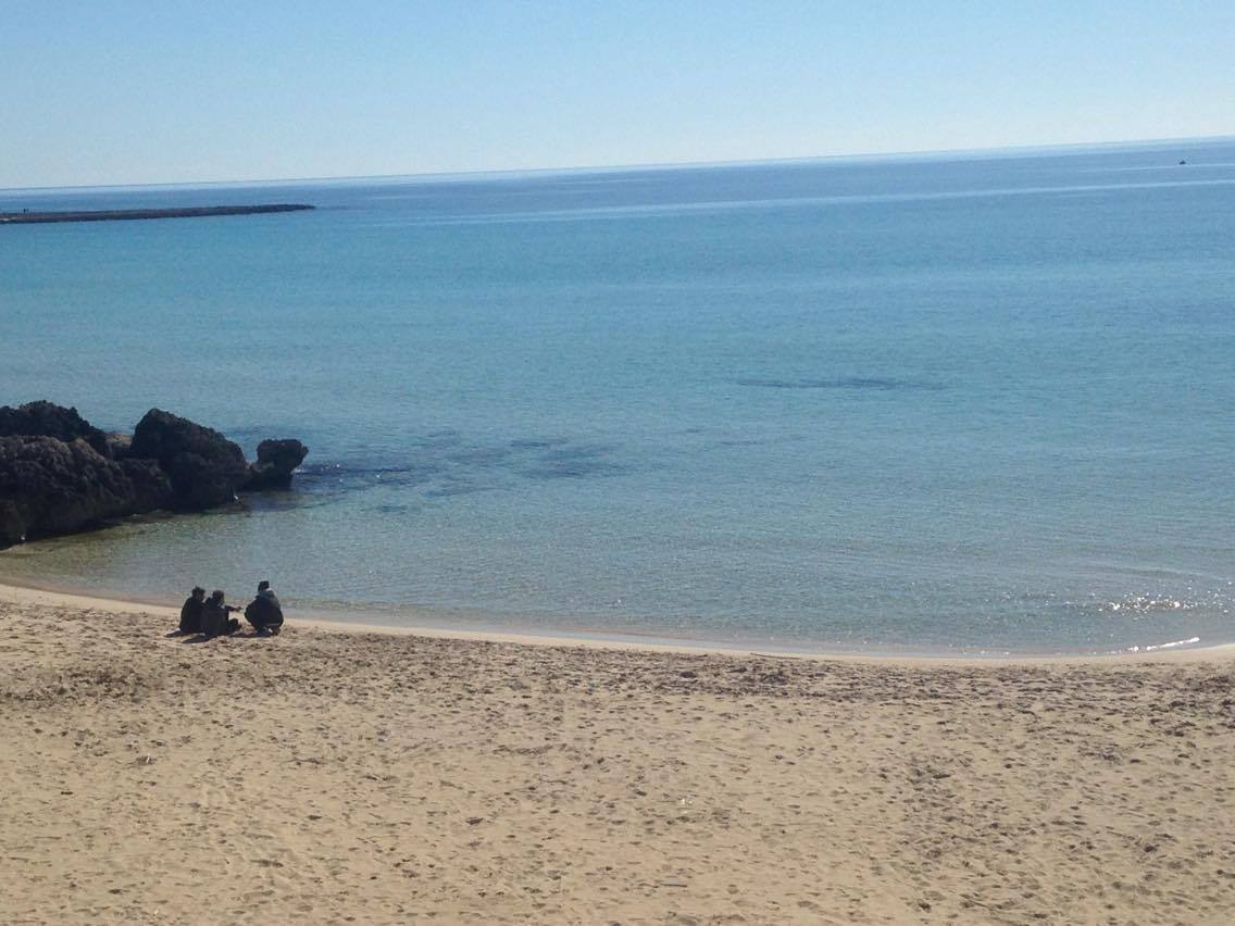 12528598_10154197075819311_1343402697_o