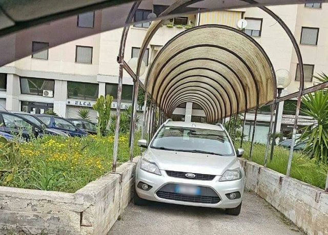 12321422_1544948519136013_464908626994000023_n