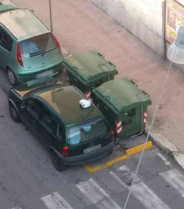 12540776_1531874783776720_7649314361483981070_n