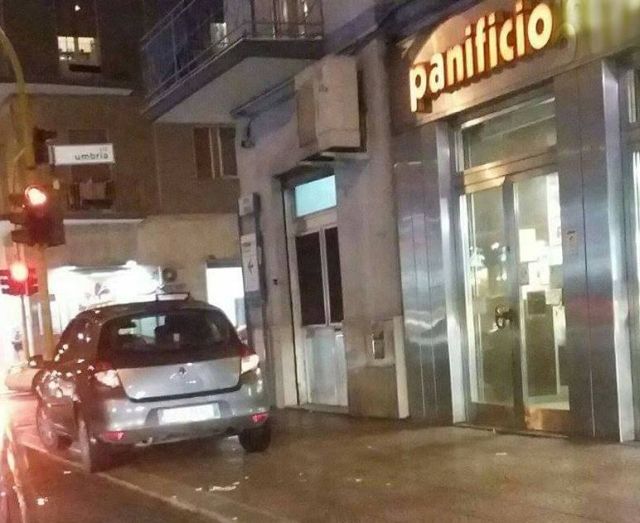 12744287_1538058389825026_6232253246960132048_n