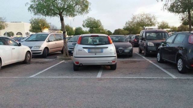 12791055_1543251719305693_7055982662904832428_n