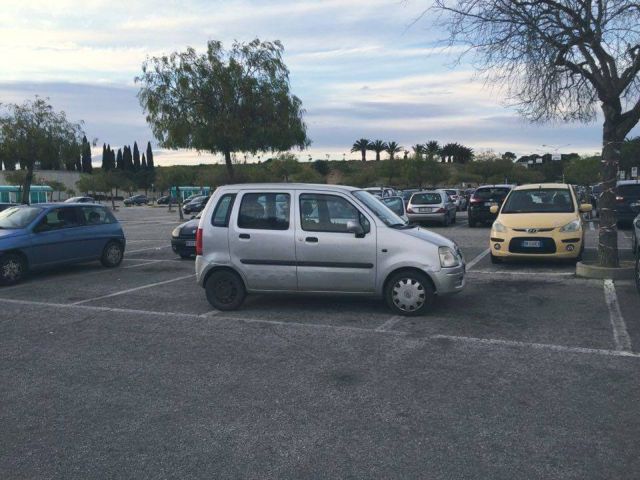 12805991_1545857525711779_4209886287027084479_n