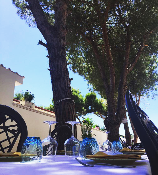 particolare del giardino casa mita