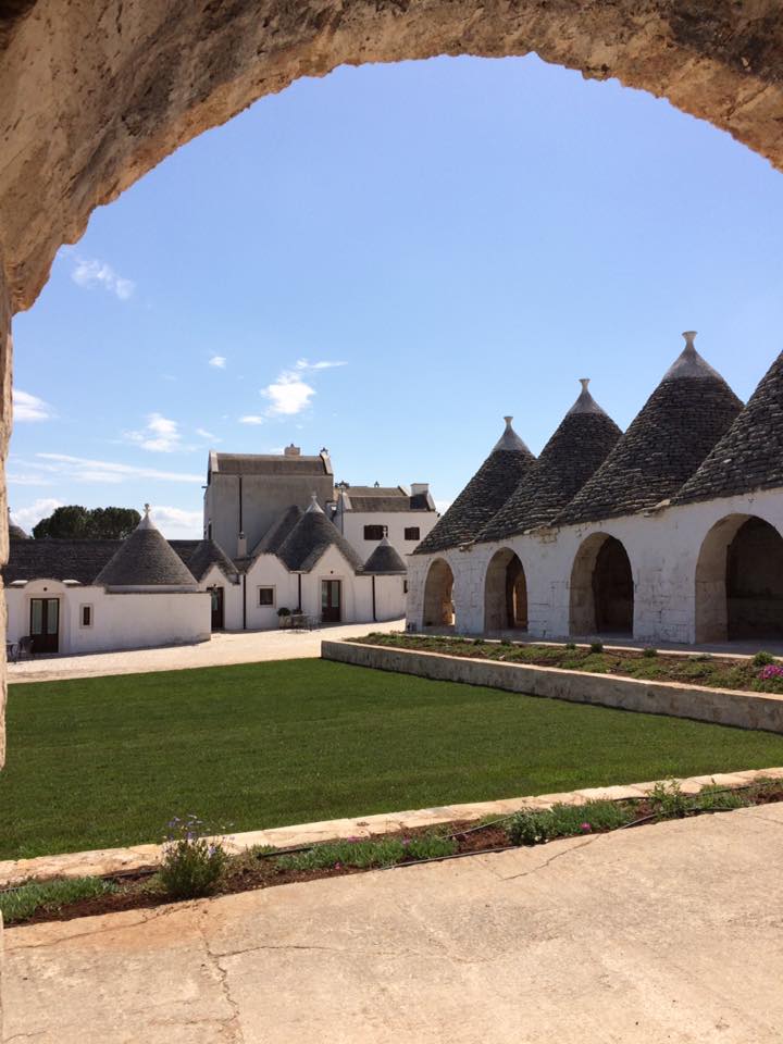 13095760_10154183617688421_19170077121959610_n