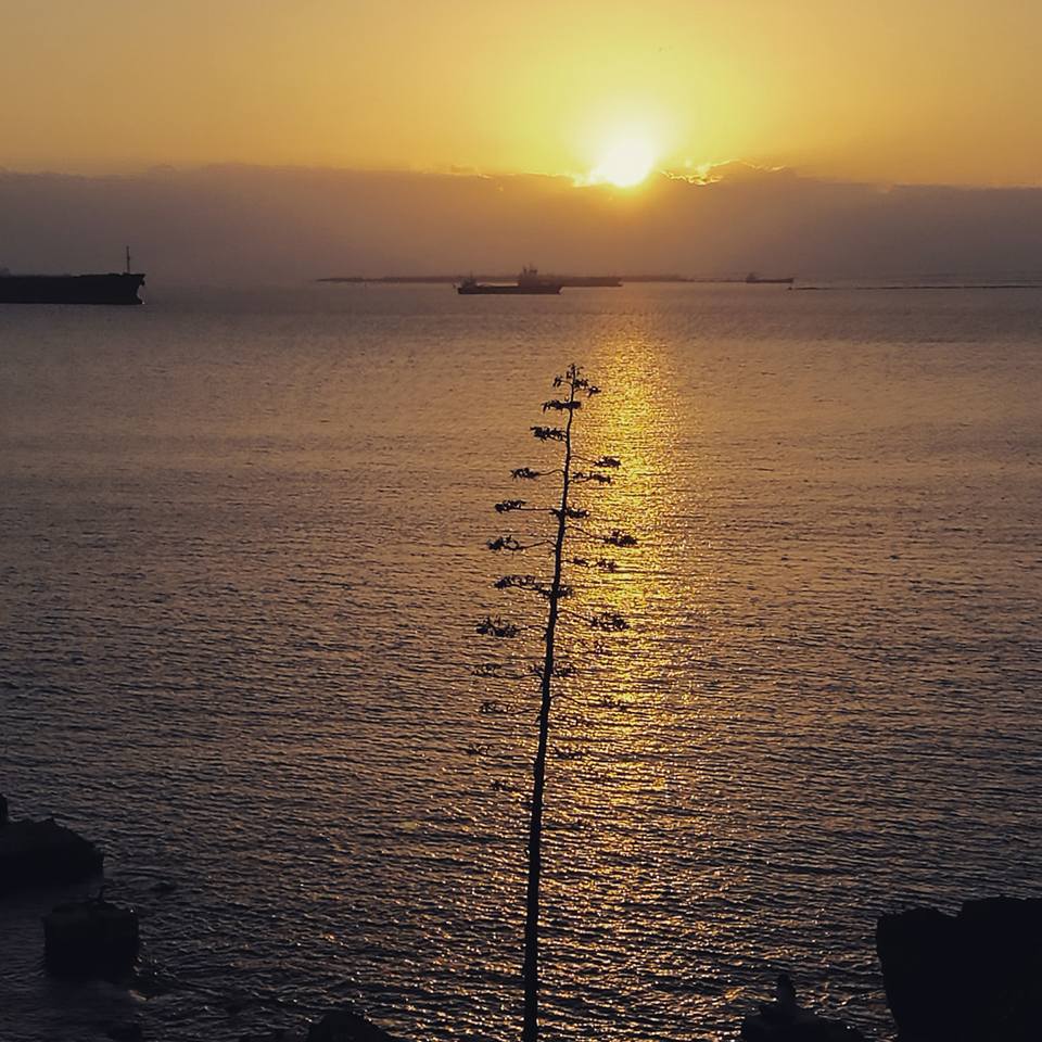 14681649_10154917314059311_5238880464159202985_n