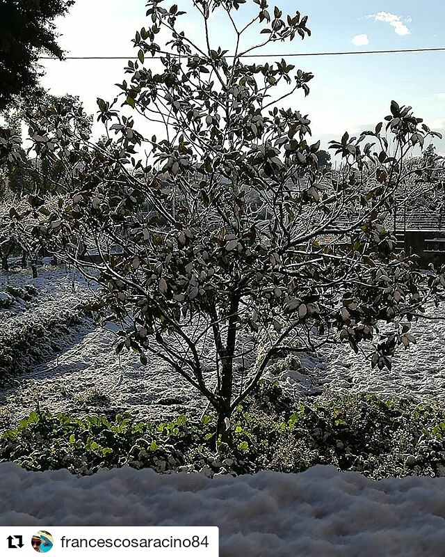 IMG_20171219_092853_553