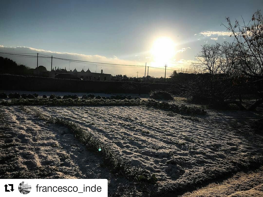 IMG_20171219_092954_907