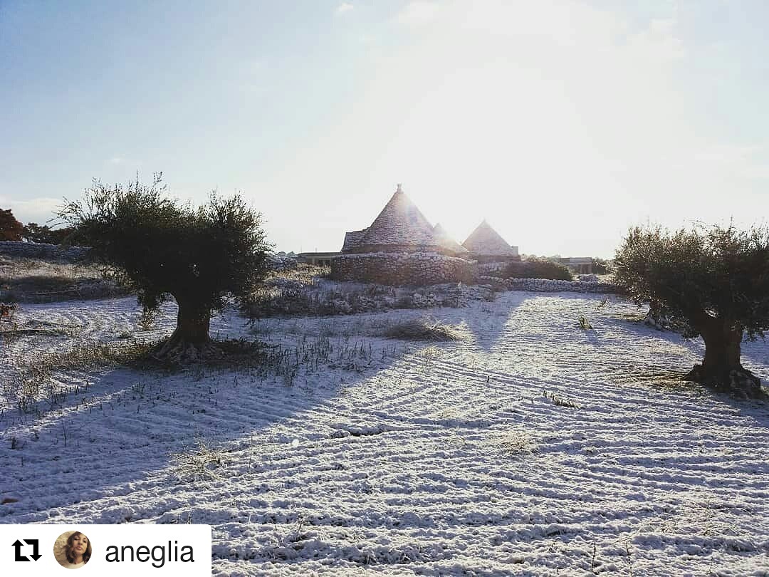 IMG_20171219_093139_809