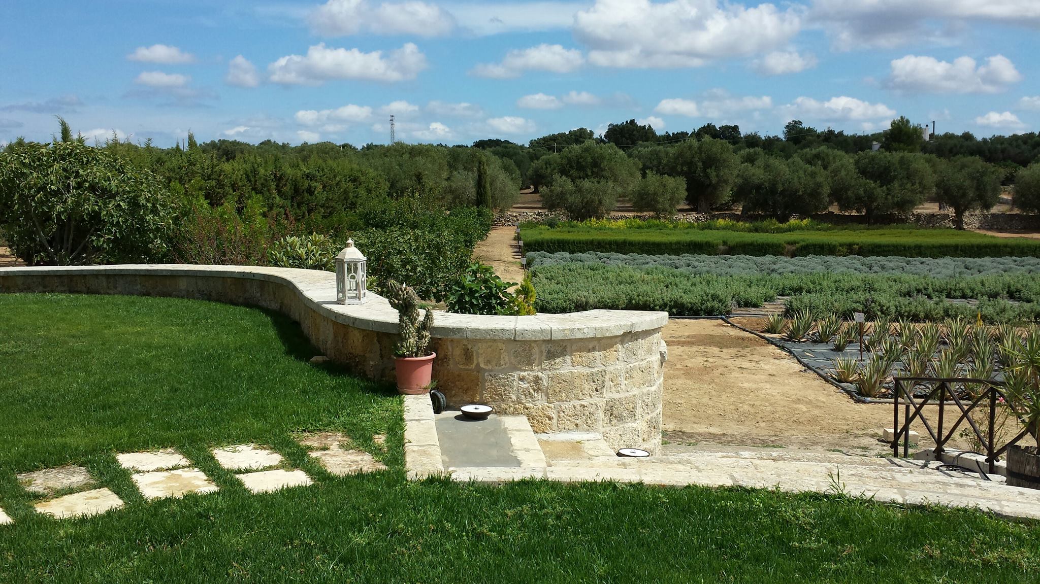 11822992_965464623510917_8663214429029026386_o