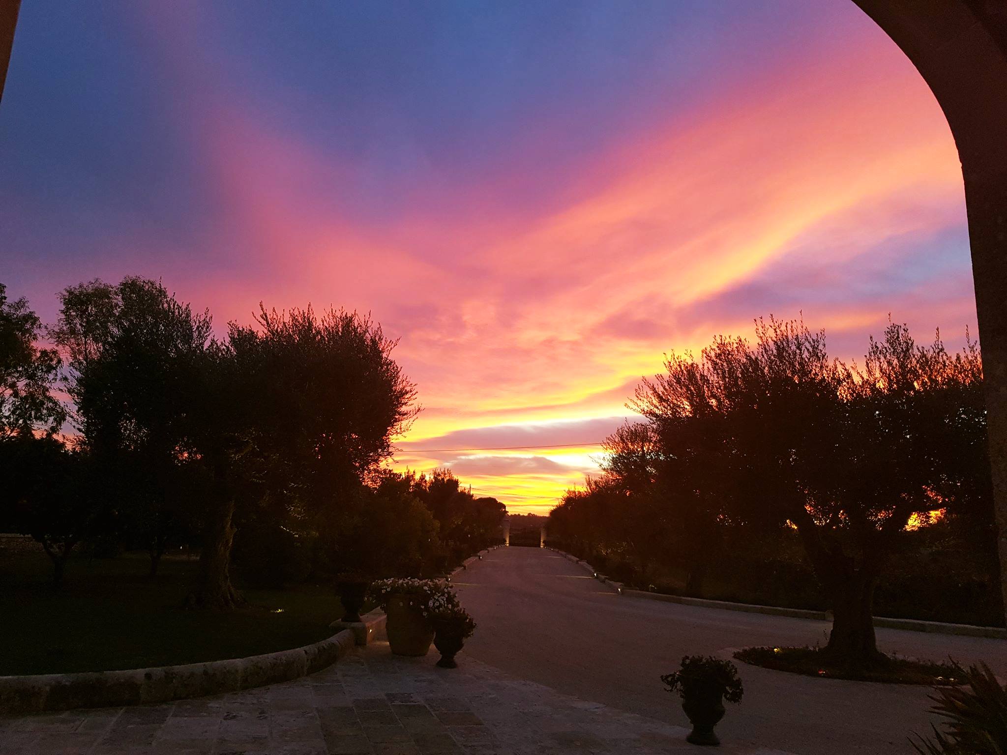 22904650_1638298389560867_198952588850880313_o