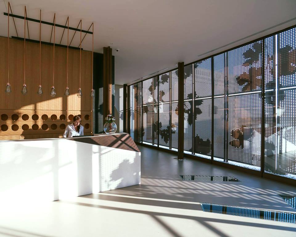 24294415_876077422571045_815503354528816820_n