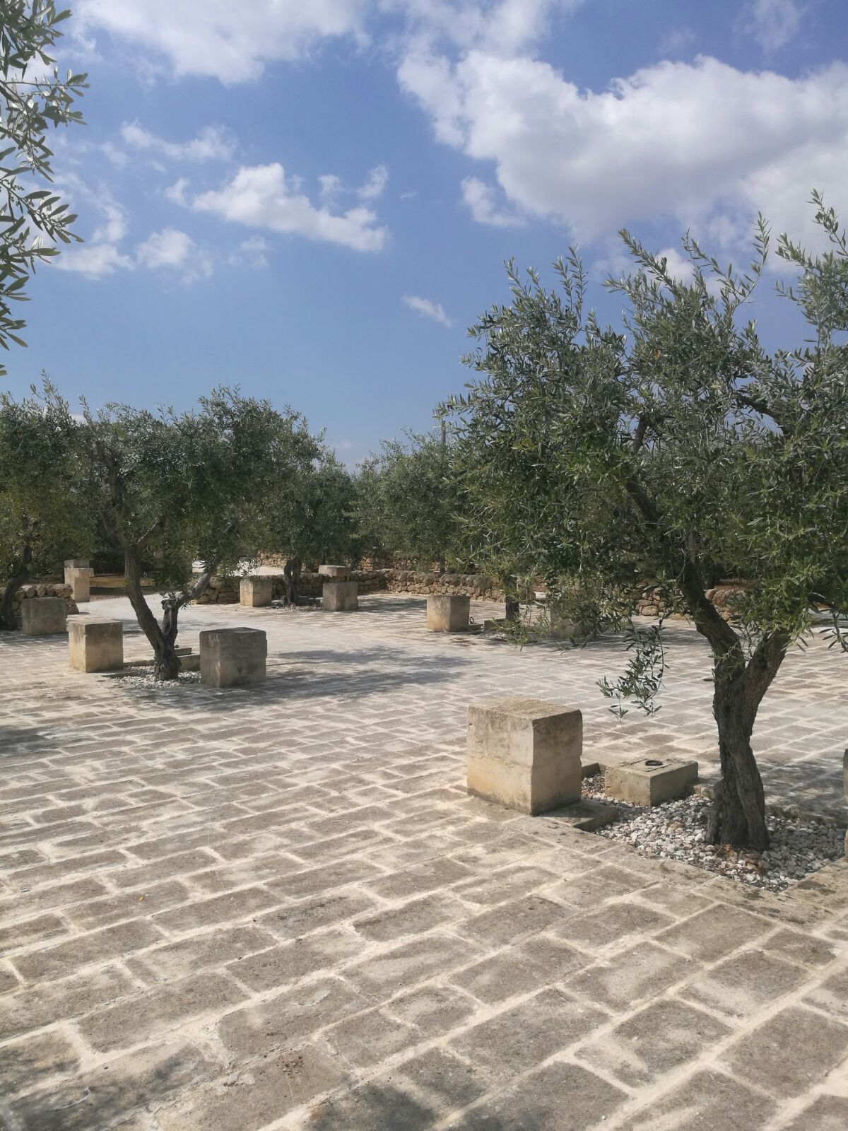 WhatsApp Image 2018-05-06 at 17.55.36 (1)