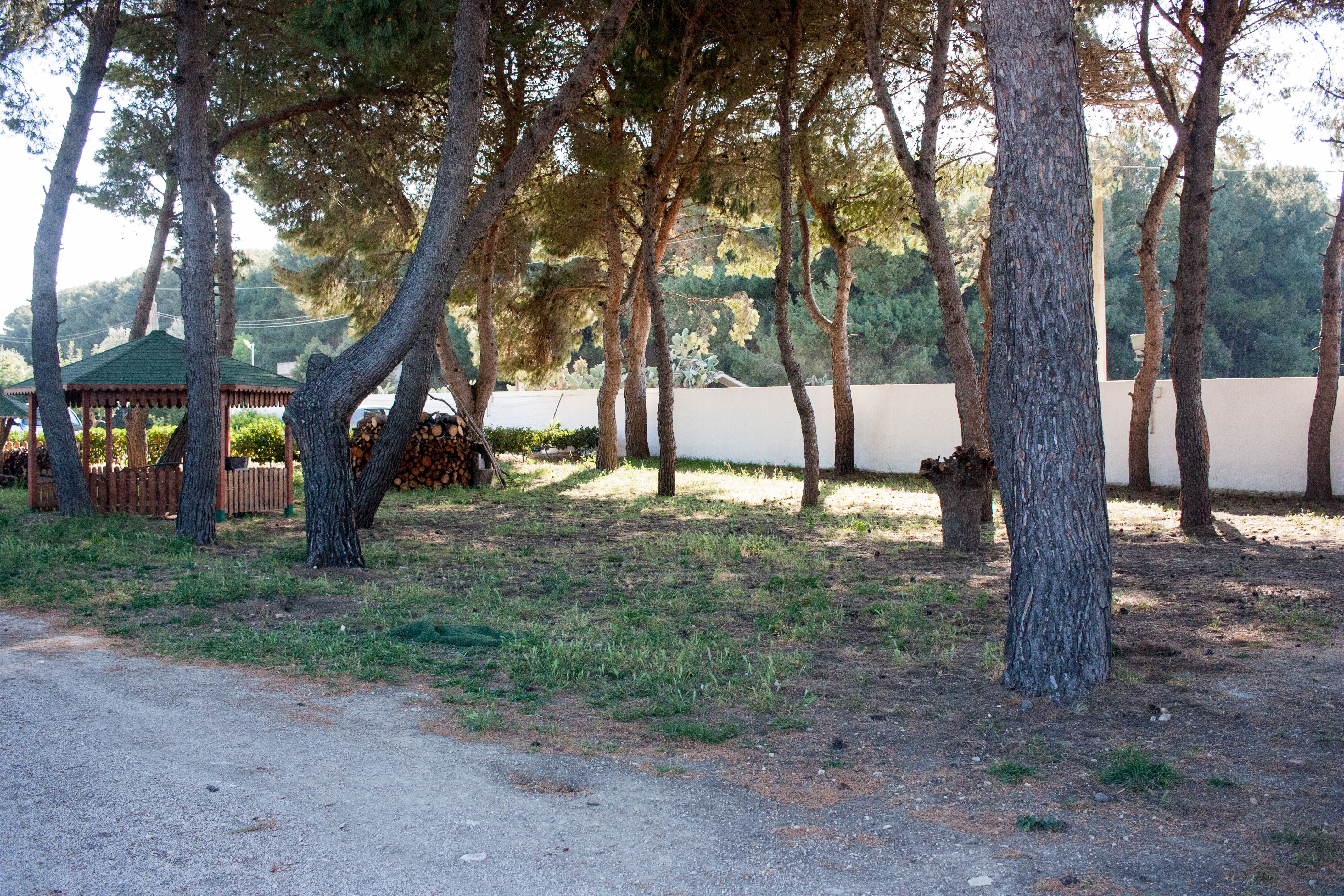 sabacom-IMG_5007-20170330